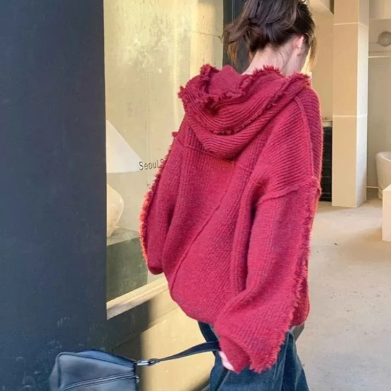 Sonbahar ve kış kalın Hoodies  - Winter Clothing Essentials For Women incelemesi ve fiyatı